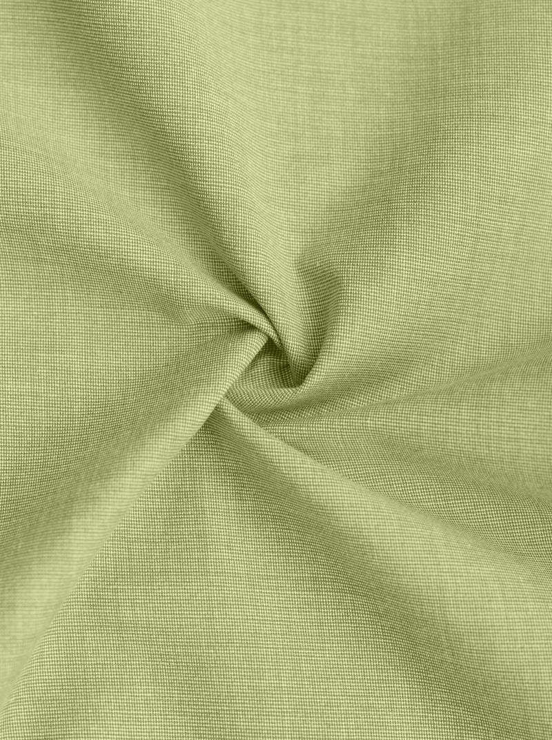 Filafil Fabric Formal Shirt for Men - Regular Fit | Light pastel green